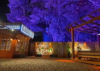 Inversiones en Misiones: South American Group inaugura otro local en Iguazú