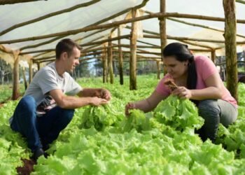 El gen de la revolución agroecológica