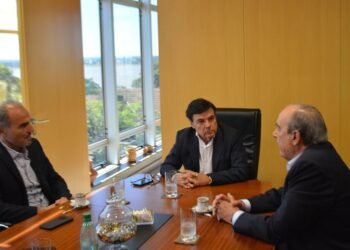 Realzar la política