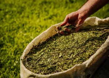 Passalacqua anunció ampliación de créditos yerbateros