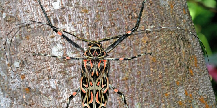 La Legislatura misionera protege la biodiversidad
