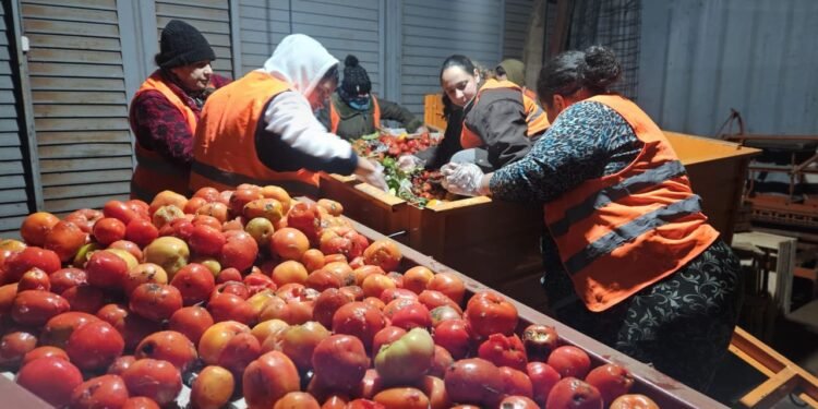 El mercado central de la provincia y la Red Alimendar iniciaron acciones de rescate de alimentos