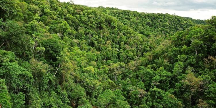 El camino sustentable