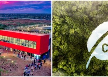 Abrirse camino propio