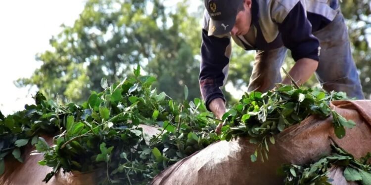 En búsqueda de la rentabilidad perdida
