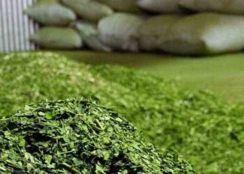 Un apoyo incondicional