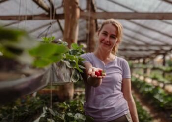 Semana Internacional Sin Pesticidas: cómo Misiones lidera el camino hacia una agricultura más saludable
