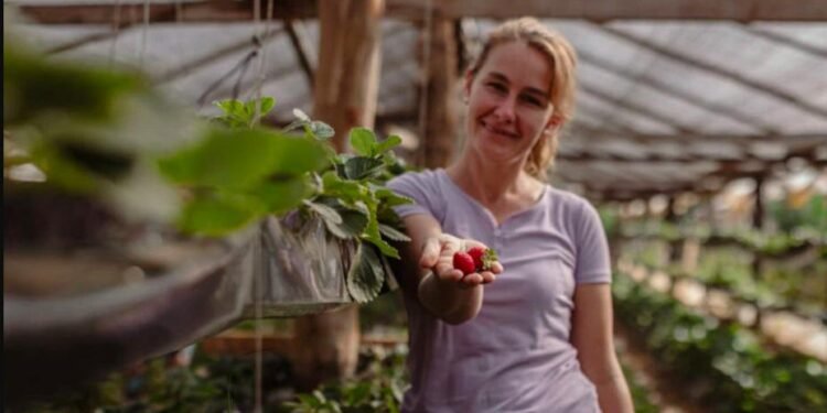 Semana Internacional Sin Pesticidas: cómo Misiones lidera el camino hacia una agricultura más saludable