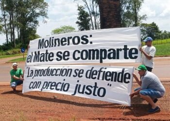Misiones busca soluciones para la yerba mate y convoca a una Mesa Yerbatera Permanente