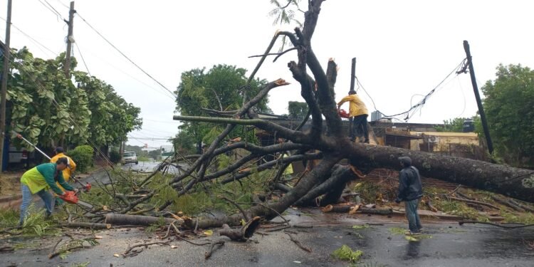 Vigo inspeccionó el funcionamiento de los trabajos hidráulicos durante el temporal