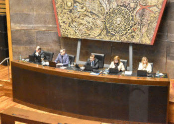 Legislatura de Misiones fortalece la salud, cultura y producción provincial con nuevas leyes