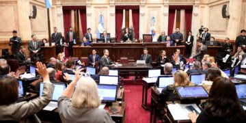 El Congreso aprobó la Ley de Emergencia en Discapacidad, Arce y Rojas Decut votaron a favor