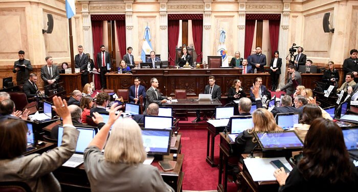 El Congreso aprobó la Ley de Emergencia en Discapacidad, Arce y Rojas Decut votaron a favor