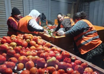 La recuperación de alimentos, factor clave para los comedores y hogares de la provincia