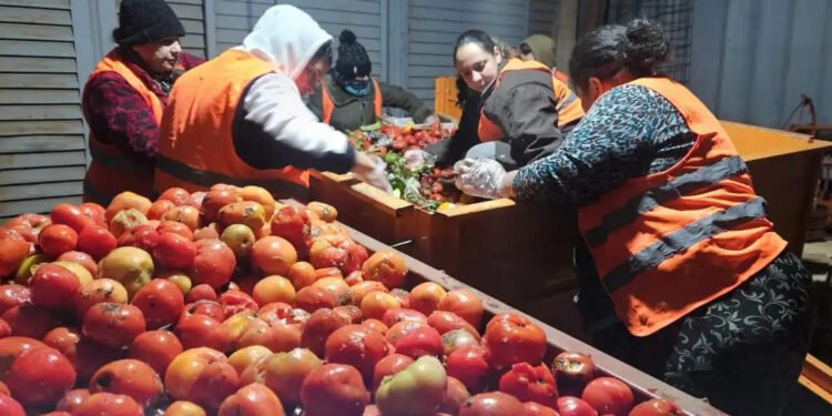 La recuperación de alimentos, factor clave para los comedores y hogares de la provincia