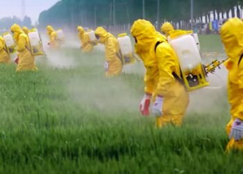 Un modelo que envenena: médico especialista alerta sobre los efectos del glifosato en la salud y respalda su eliminación