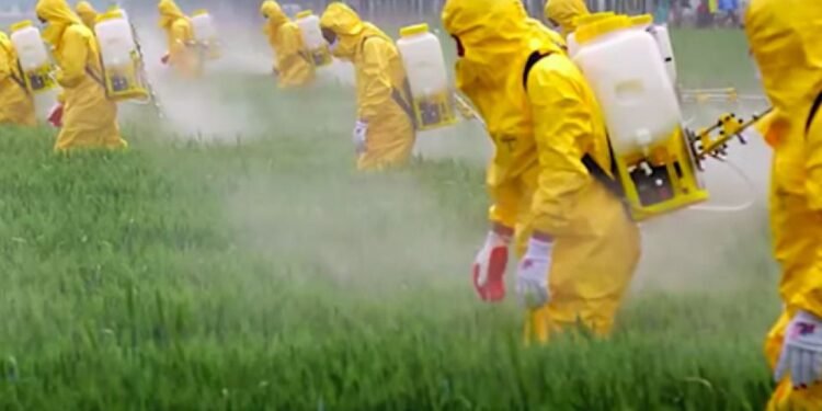 Un modelo que envenena: médico especialista alerta sobre los efectos del glifosato en la salud y respalda su eliminación