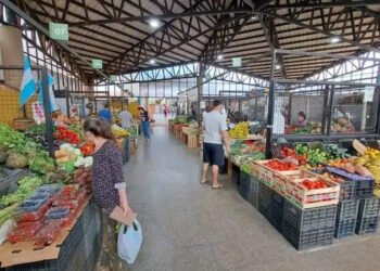 Fernando Toledo, Presidente del Mercado Central: “Las Cámaras de Frío entregadas a los productores misioneros permiten producir más”