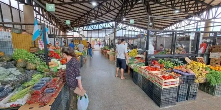 Fernando Toledo, Presidente del Mercado Central: “Las Cámaras de Frío entregadas a los productores misioneros permiten producir más”