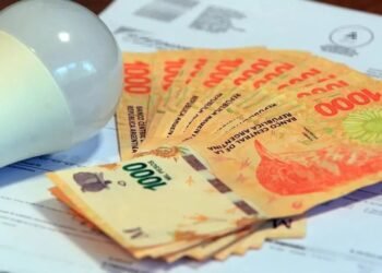 La FECEM advierte que la quita de subsidios de Nación provoca subas abultadas en las facturas de luz
