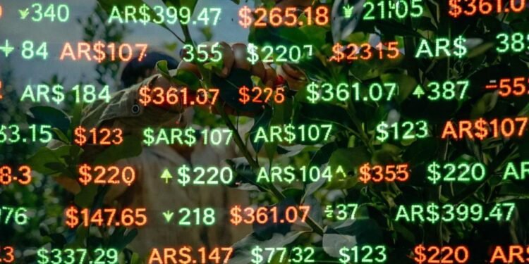 Misiones propone crear una pizarra de referencia para sostener el precio de la hoja verde de yerba mate