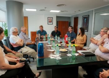 Yerba mate: diputados del Misionerismo cuestionan rechazo al precio de referencia en el INYM