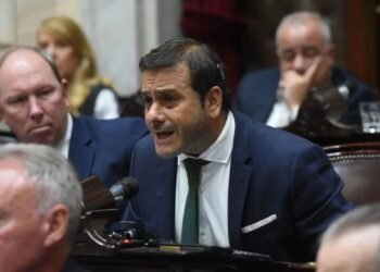 Misiones lleva al Congreso una batería de reclamos para defender las economías regionales