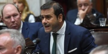 Misiones lleva al Congreso una batería de reclamos para defender las economías regionales