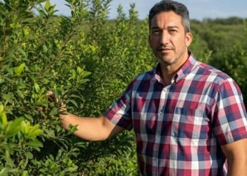 El presidente del INYM, Rodrigo Correa, negó una crisis en la yerba y defendió la desregulación