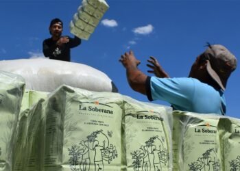 Productores presentaron en Encuentro Misionero “La Soberana”, la yerba campesina y agroecológica de Misiones