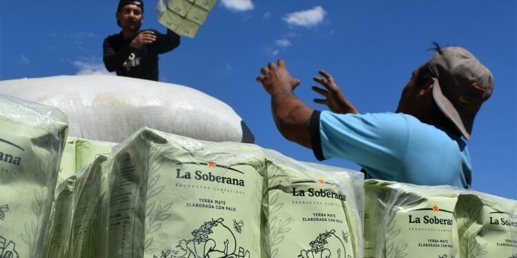 Productores presentaron en Encuentro Misionero “La Soberana”, la yerba campesina y agroecológica de Misiones